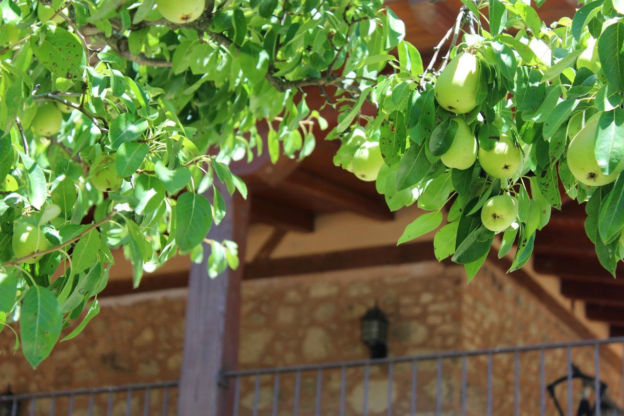 Complejo Rural La Coronilla Vendégház Jarandilla de la Vera Kültér fotó